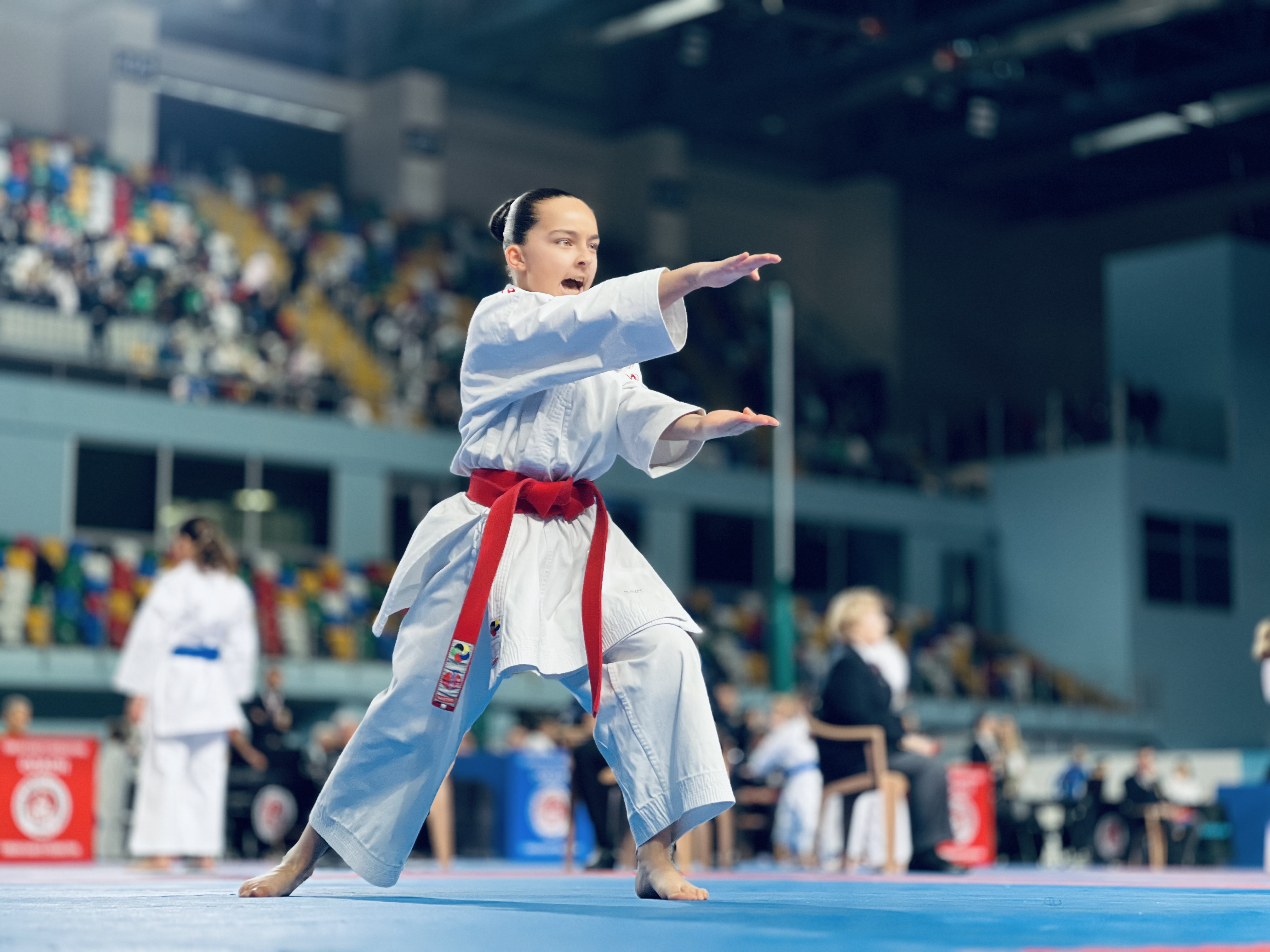 34. ULUSLARARASI BOĞAZİÇİ KARATE TURNUVASI