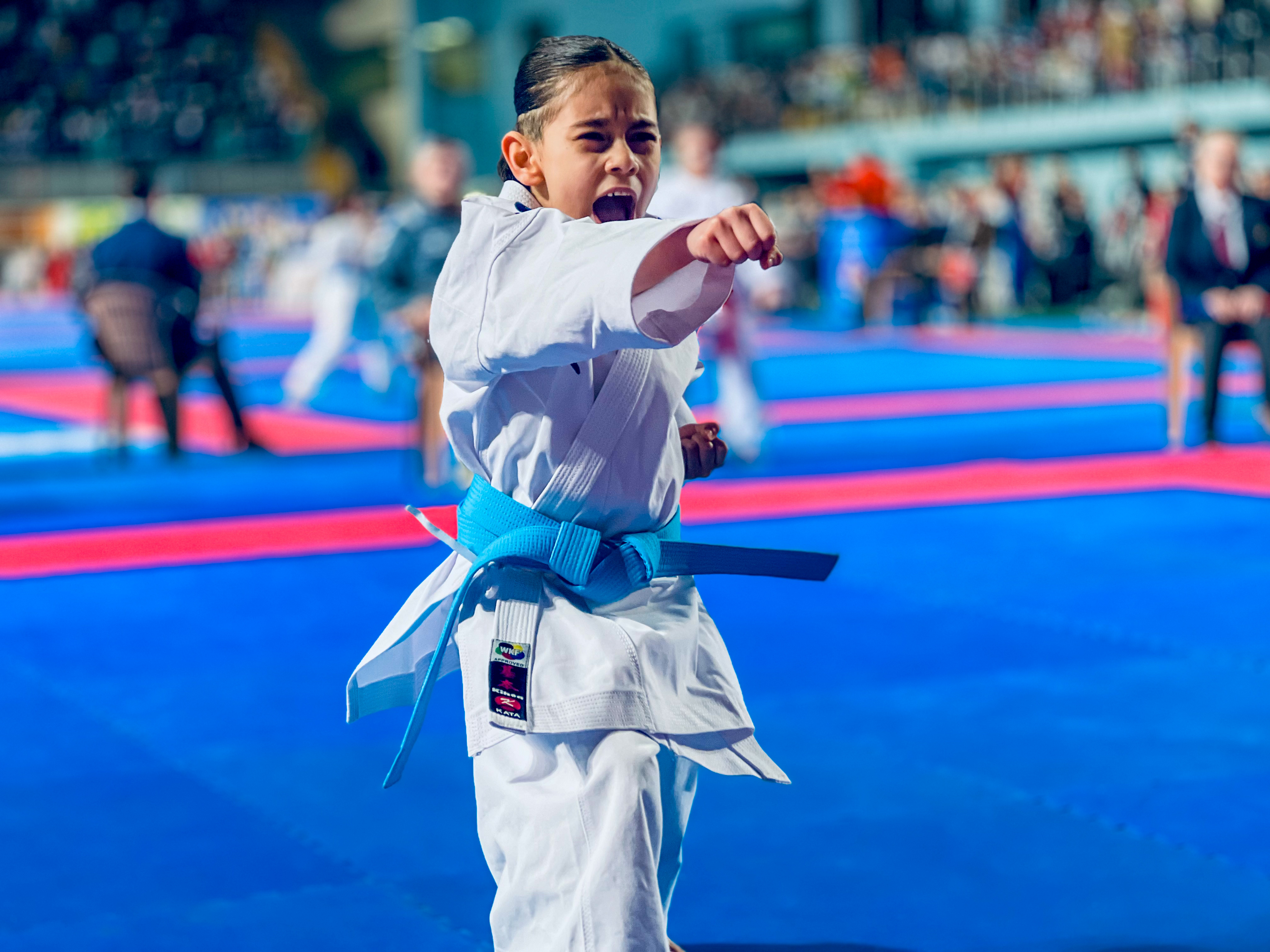 34. ULUSLARARASI BOĞAZİÇİ KARATE TURNUVASI