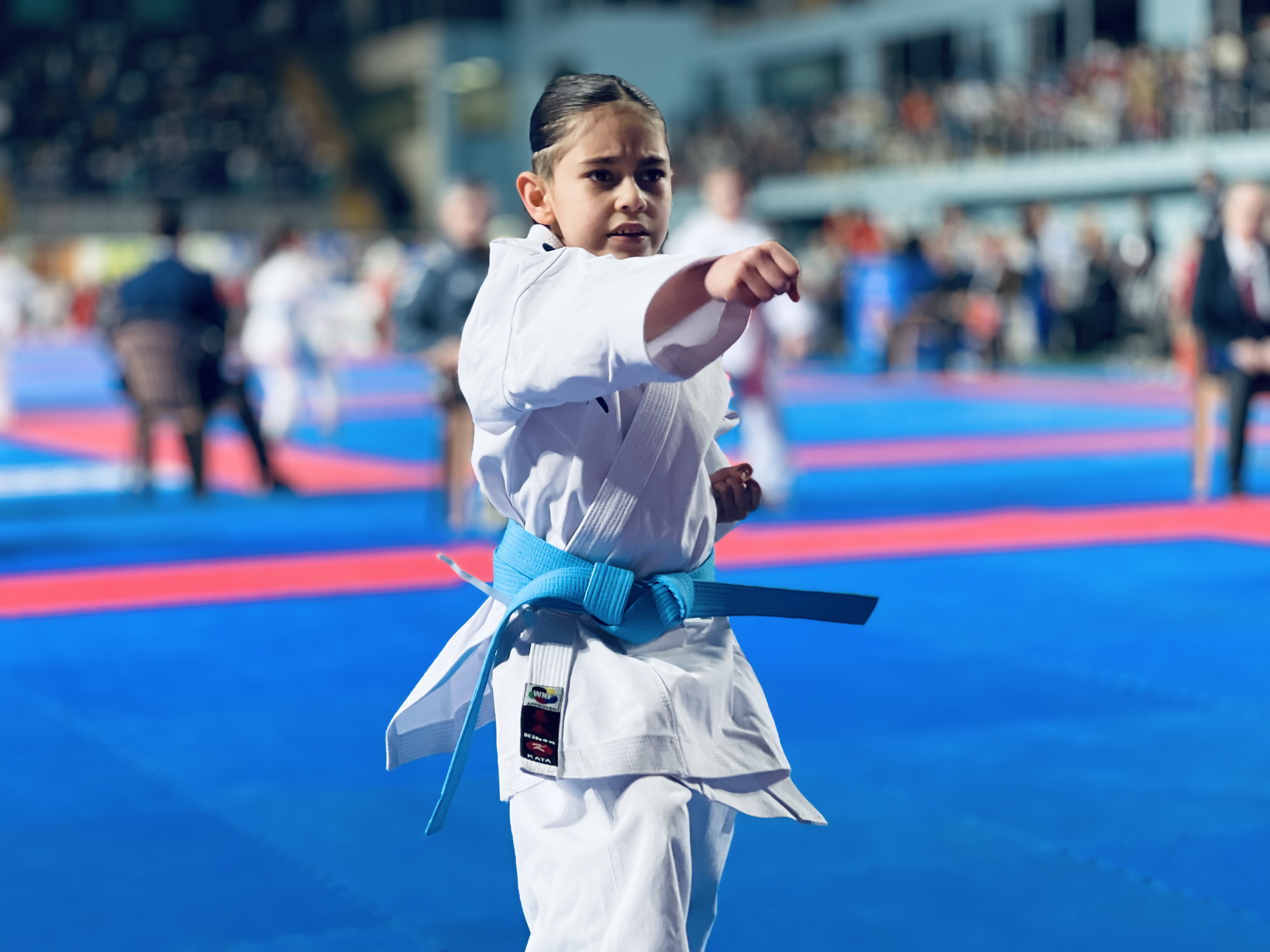 34. ULUSLARARASI BOĞAZİÇİ KARATE TURNUVASI